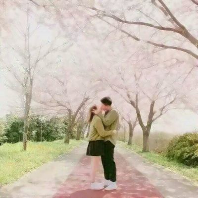 贝博bb平台体育全站版